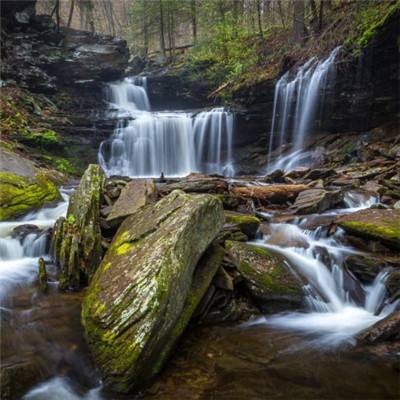 一肖三码手机app下载