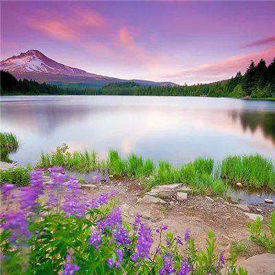 澳门人威尼斯3966app下载