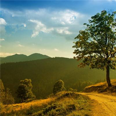 开元娱乐app官网版截图