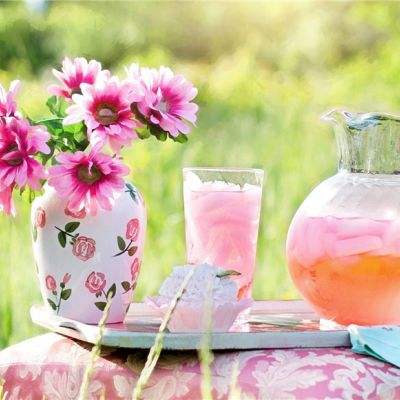 乐鱼app官方下载入口